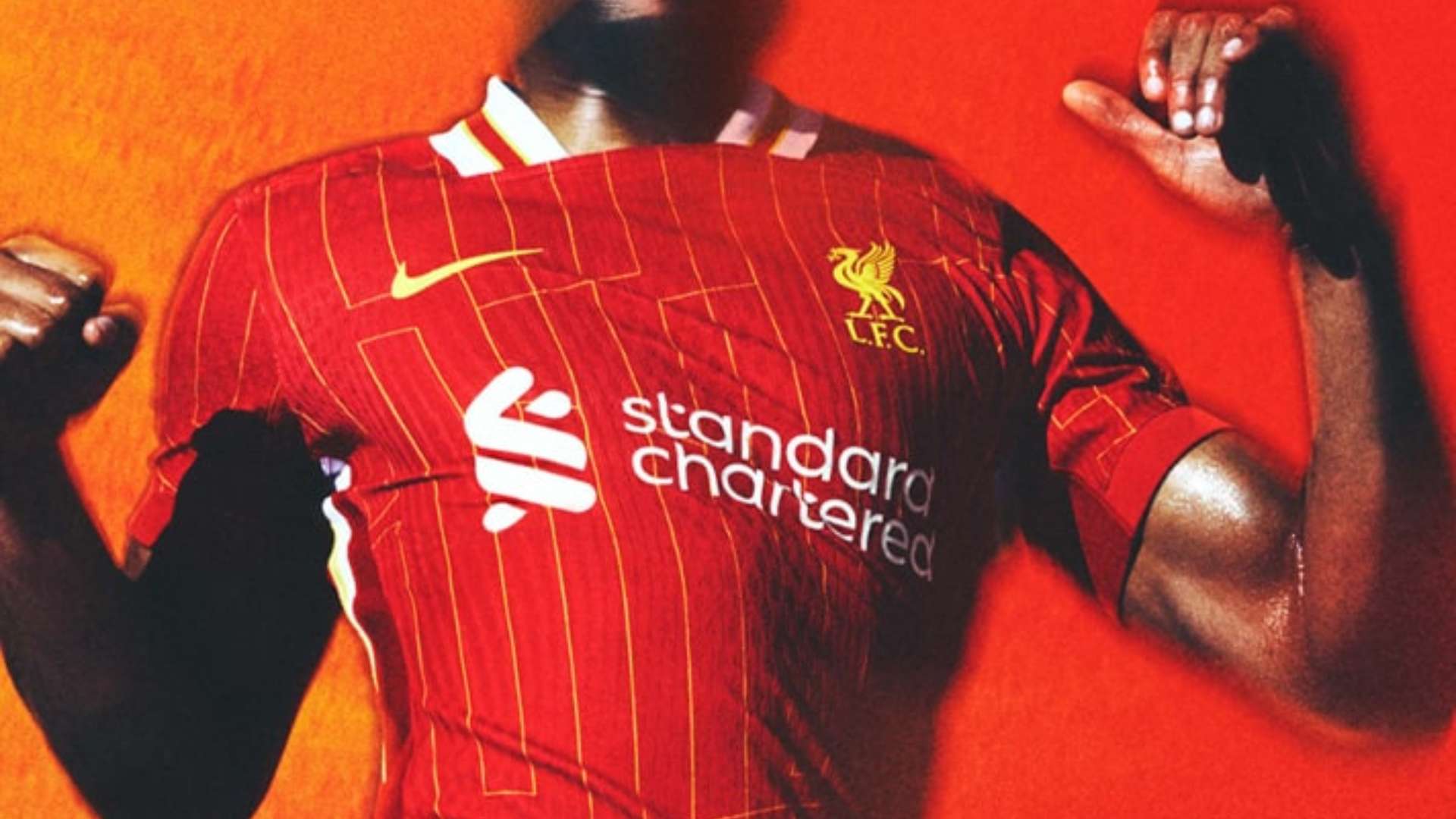 如果能够在 如果能够在